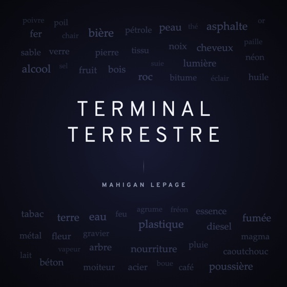 Terminal terrestre